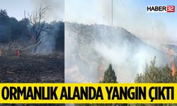 Eğirdir'de Çıkan Orman Yangını Kontrol Altına Alındı