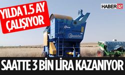 Isparta'da Saatte 3 Bin Lira Kazanıyorlar