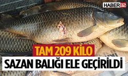 Tam 209 kilo sazan balığı ele geçirildi