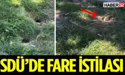 SDÜ’de fare istilası