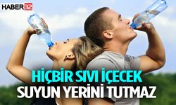 Hiçbir sıvı içecek suyun yerini tutmaz