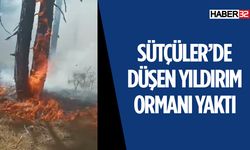 Yıldırım Düşmesi Sonucu Orman Yangını Çıktı