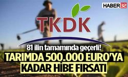 Tarımda 500.000 Euro'ya kadar hibe fırsatı