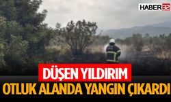 Düşen Yıldırım Otluk Alanda Yangın Çıkardı