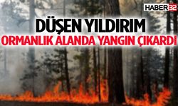 Düşen yıldırım ormanlık alanda yangın çıkardı