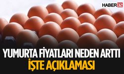 Yumurta Fiyatlarının Neden Zamlandığı Belli Oldu