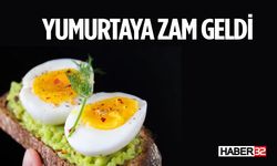 Yumurta Fiyatlarına Zam Geldi