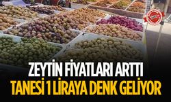 Salı Pazarında Zeytinin Tanesi 1 Lirayı Buldu