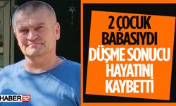 Ceviz Toplarken Düşen Adam Hayatını Kaybetti