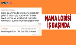 Mama lobisi iş başında! Mamaları rastgele dağıtıyorlar