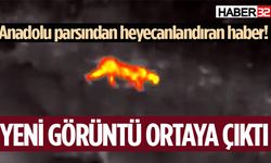 Anadolu parsından yeni bir görüntü ortaya çıktı