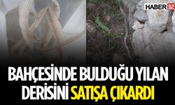 Evin Bahçesinde Bulduğu Yılan Derisini Satışa Çıkardı