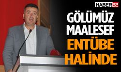 Başkan Özer: "Gölümüz Maalesef Entübe Halinde"