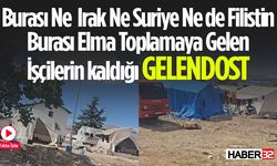 Gelendost'ta Elma İşçileri Çadırda Yaşıyor