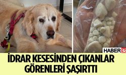 İdrar kesesinden çıkanlar görenleri şaşırttı