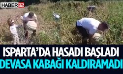 Damat Devasa Kabağı Kaldıramadı