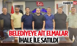 Belediyeye Ait Elmalar İhale İle Satıldı