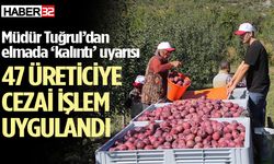 47 elma üreticisine cezai işlem uygulandı