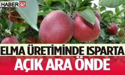 Elma üretiminde Isparta açık ara önde