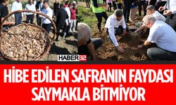 Isparta’da Safran Üretimi Yaygınlaşıyor İşte Faydaları