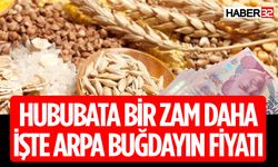 Hubabat Fiyatlarında Son Durum Belli Oldu