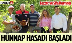 Isparta’da Hünnap Hasadı Başladı