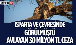 Bu Hayvanı Avlamanın Cezası 30 Milyon TL