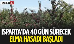 Isparta'da Elma Hasat Sezonu Başladı