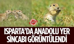 Isparta'da Anadolu Gelengisi Görüntülendi