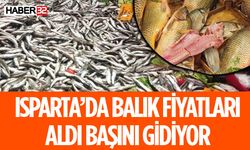 Isparta'da Balık Fiyatları Fırladı