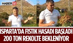 Çandır Köyü'nde Fıstık Hasadı Başladı