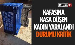 Kafasına Elma Kasası Düştü Hastahanelik Oldu