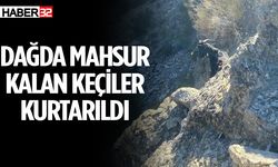 Dağda mahsur kalan keçiler kurtarıldı