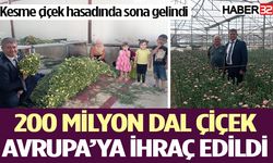 Isparta’da kesme çiçek hasadında sona gelindi