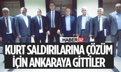 Sarıdaş’tan Kurt Saldırıları İçin Acil Görüşme