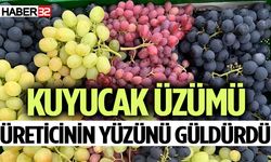 Kuyucak’ta üzüm hasadı devam ediyor