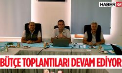 Bütçe toplantıları devam ediyor