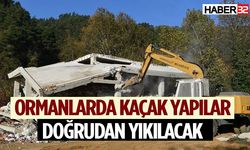 Ormanlarda kaçak yapılar doğrudan yıkılacak