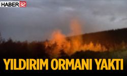 Yıldırım ormanı yaktı