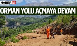 Orman yolu yapım çalışmaları devam ediyor