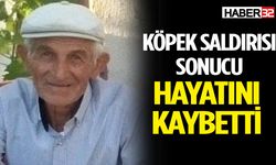 Köpek saldırısında ağır yaralanan adam hayatını kaybetti