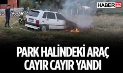 Park Halindeki Araçta Yangın Çıktı