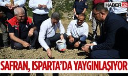 Safran, Isparta’da Yaygınlaşıyor