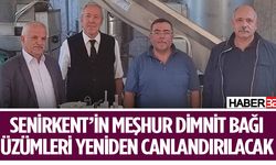 Senirkent’in dimnit bağı üzümleri yeniden canlandırılacak