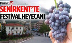 Senirkent’te Festival Heyecanı