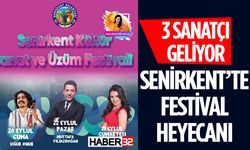 Senirkent Kültür Sanat ve Üzüm Festivali 20-22 Eylül’de