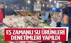 Eş Zamanlı Su Ürünleri Denetimleri Yapıldı