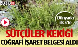 Sütçüler Kekiği Coğrafi İşaret Belgesi Aldı