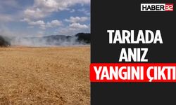 Şarkikaraağaç'ta Tarım Alanında Yangın Çıktı