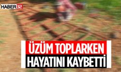 61 Yaşındaki Adam Üzüm Toplarken Hayatını Kaybetti